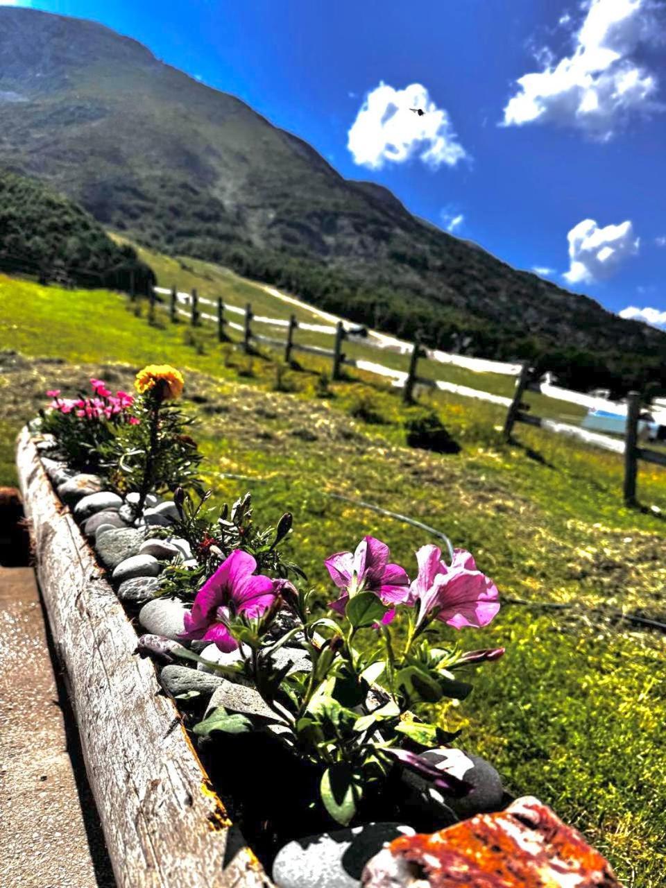 Mountain House Savin Kuk Vila Žabljak Exterior foto